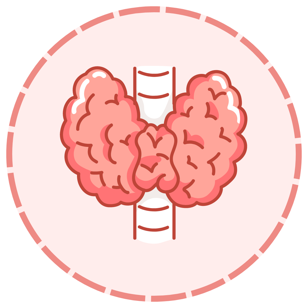 Woman Female Hormone Thyroid